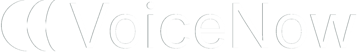 VoiceNow logo